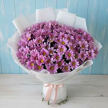 Букет цветов из:  Хризантемы в Тисули