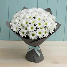 Букет цветов из:  Хризантемы в Тисули