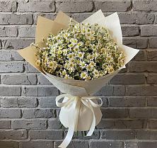 Букет цветов из:  Ромашки в Тисули
