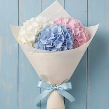 Букет цветов из:  Гортензия в Тисули