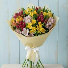 Букет цветов из:  Альстромерии в Тисули