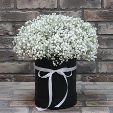 Цветочная композиция из Гипсофила в шляпной коробке в Тисули