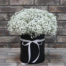 Цветочная композиция из Гипсофила в шляпной коробке в Тисули