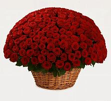 Премиум букет из: Розы в Тисули