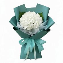 Букет цветов из:  Гортензия в Тисули